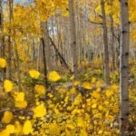 07_nationalgeographic_2646126