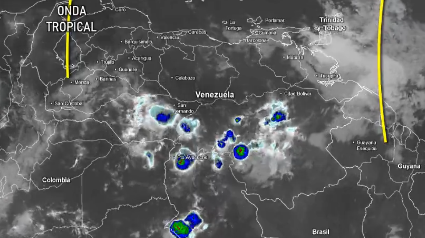 Captura de pantalla 2026-08-12 082842