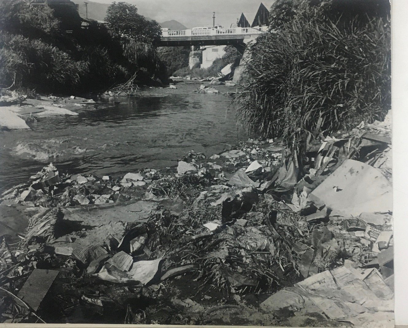 EOA-61-FOTO-5