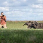 Gente-observando-oso-hormiguero-Iberá-Junio-2023-Sebastián-Navajas-Fundación-Rewilding-Argentina-03462
