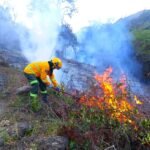 Incendios-forestales-en-Cundinamarca-balance-deja-74-hectareas-afectadas-en-nueve-municipios1-1200×800