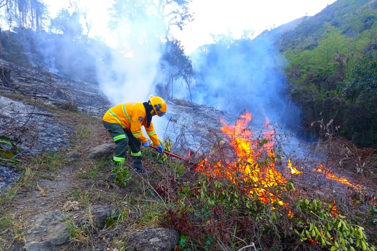 Incendios-forestales-en-Cundinamarca-balance-deja-74-hectareas-afectadas-en-nueve-municipios1-1200×800