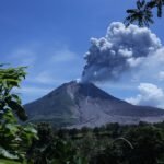 adobestock-184329944-adobestock-184329944-adobestock-184329944-adobestock-184329944