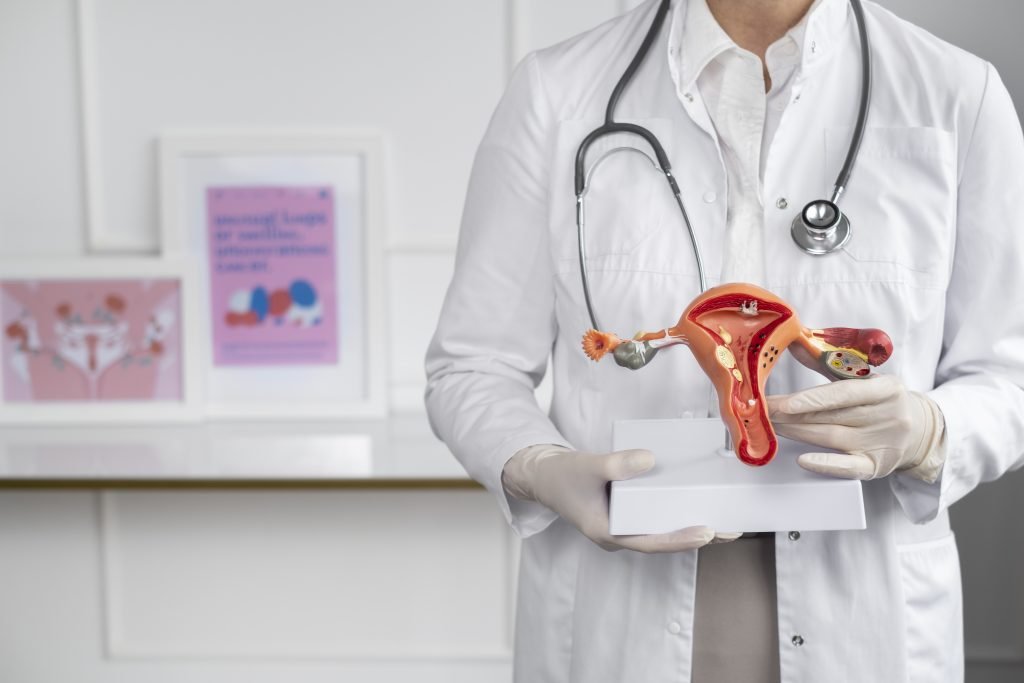 front-view-doctor-holding-anatomic-model-jpg-6703aabc2cb7b-1024×683