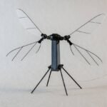 images (1)