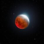 images (4)
