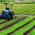 sector_agricola_que_es_actividades_e_importancia_4650_1200