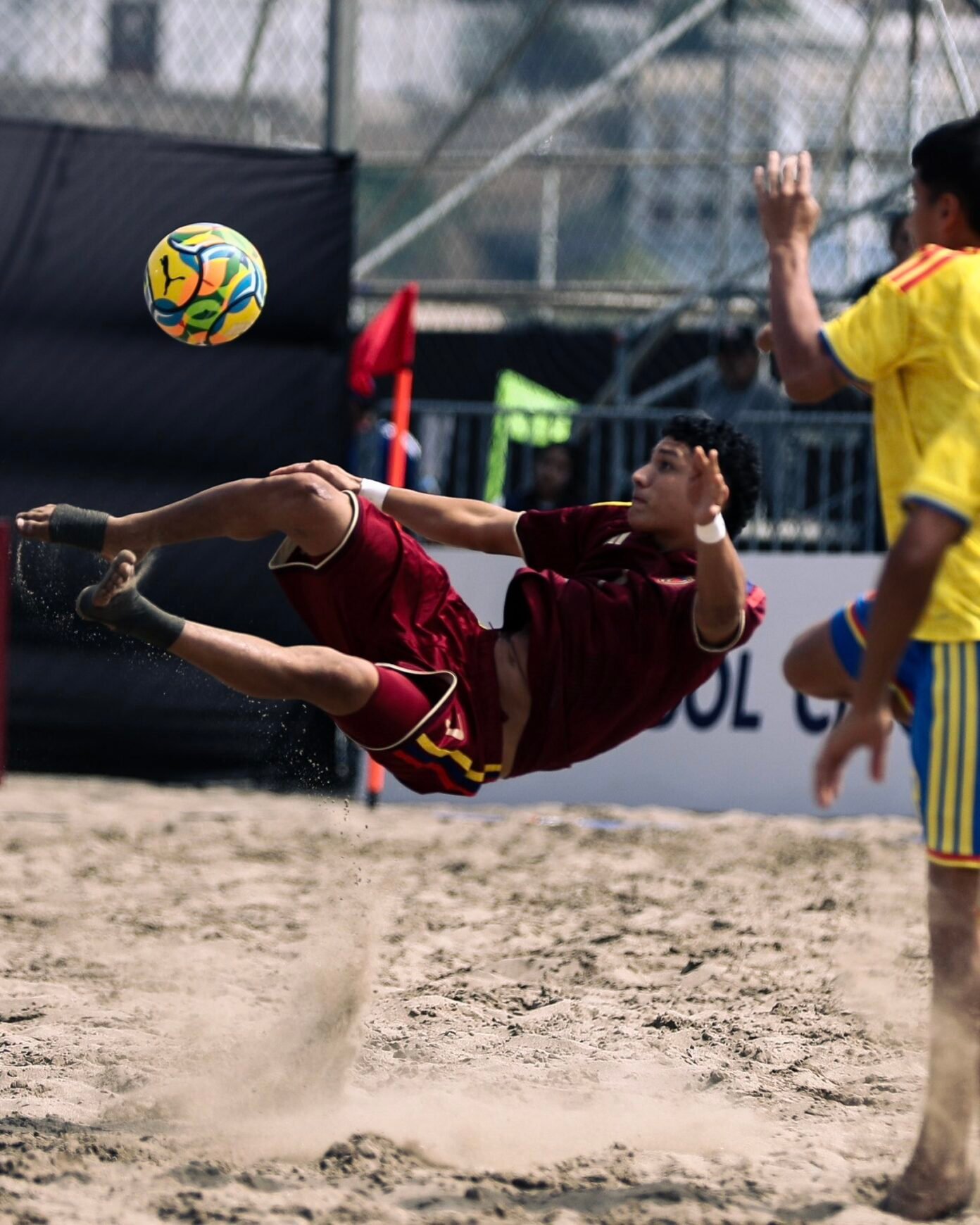vinotinto2-1392×1740