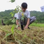 Reforestan-7.200-m2-en-el-Parque-Itagua.3 (3)