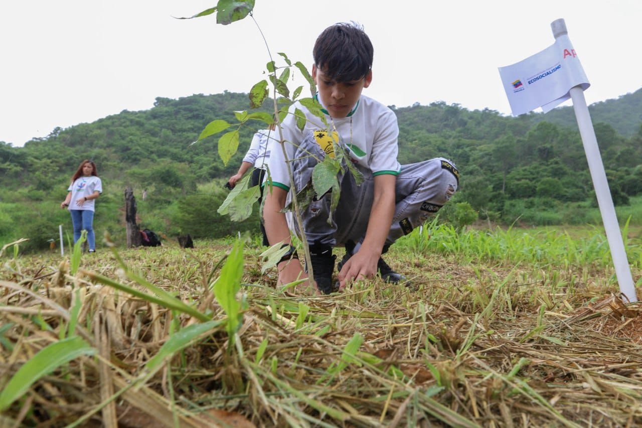 Reforestan-7.200-m2-en-el-Parque-Itagua.3 (3)